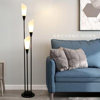 现代简华约落地灯IXR客灯厅卧室房间发旁装饰灯饰黑白时尚奢立沙