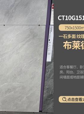 ?岩板布莱德CT10G151254圣托尼CT10G151221斯里兰灰151205新