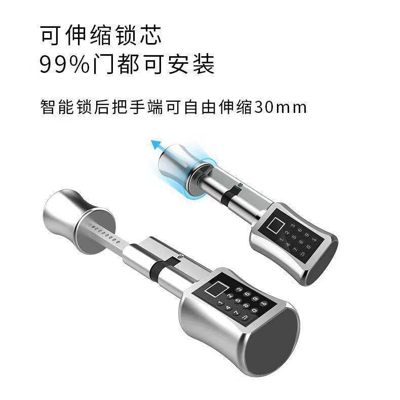 智能锁芯指纹密码锁门锁家用防盗门电子锁刷卡锁木门大门锁卧室门