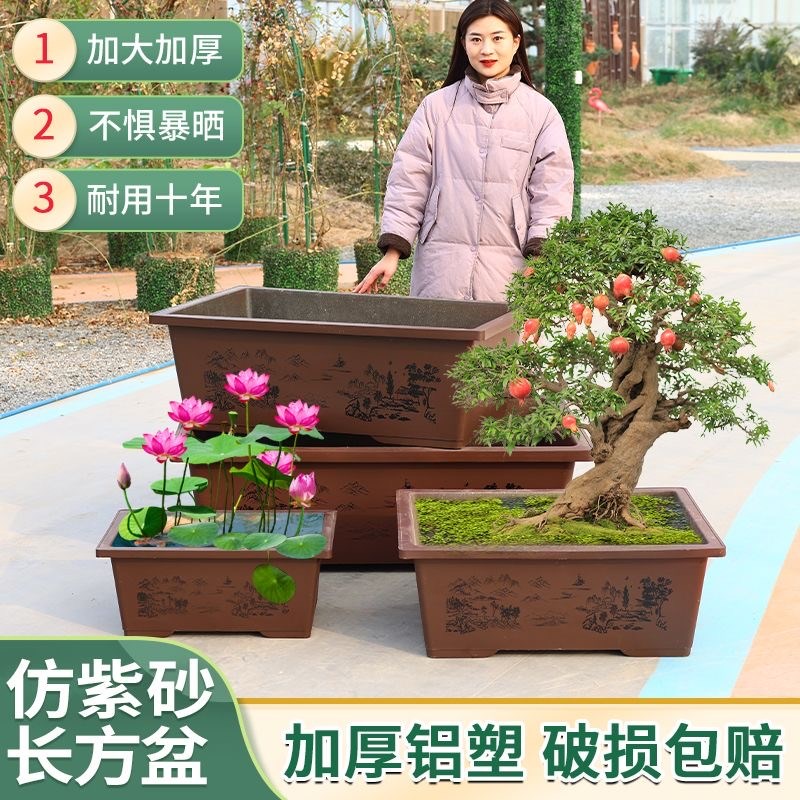 特大号盆景树脂加厚花盆长方形户外阳台种L菜大号仿紫砂盆景荷花