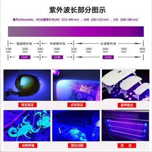 UV紫外5054美甲固化灯珠 365nm395nm双波段uva光手机贴膜固化灯珠