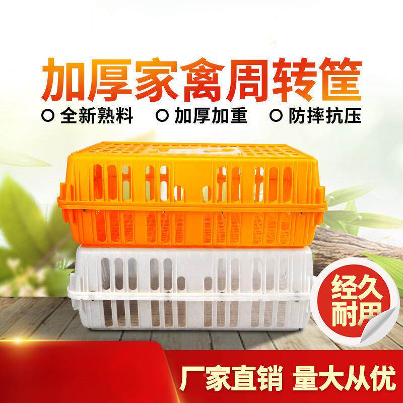 鸡笼周用转箱塑料鸡加鸭运输家笼厚大号家BUT养殖防摔禽周转筐垒