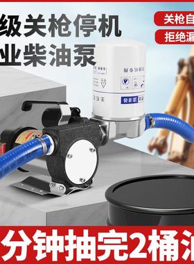 1叶古电抽油泵正动反转2v42024v220油v柴油泵加抽油机自吸泵加油