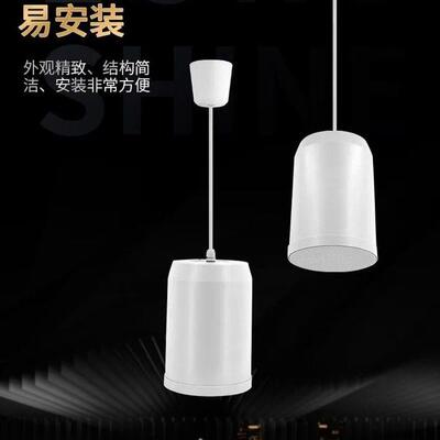 CSL308防水吊顶扬声器10W