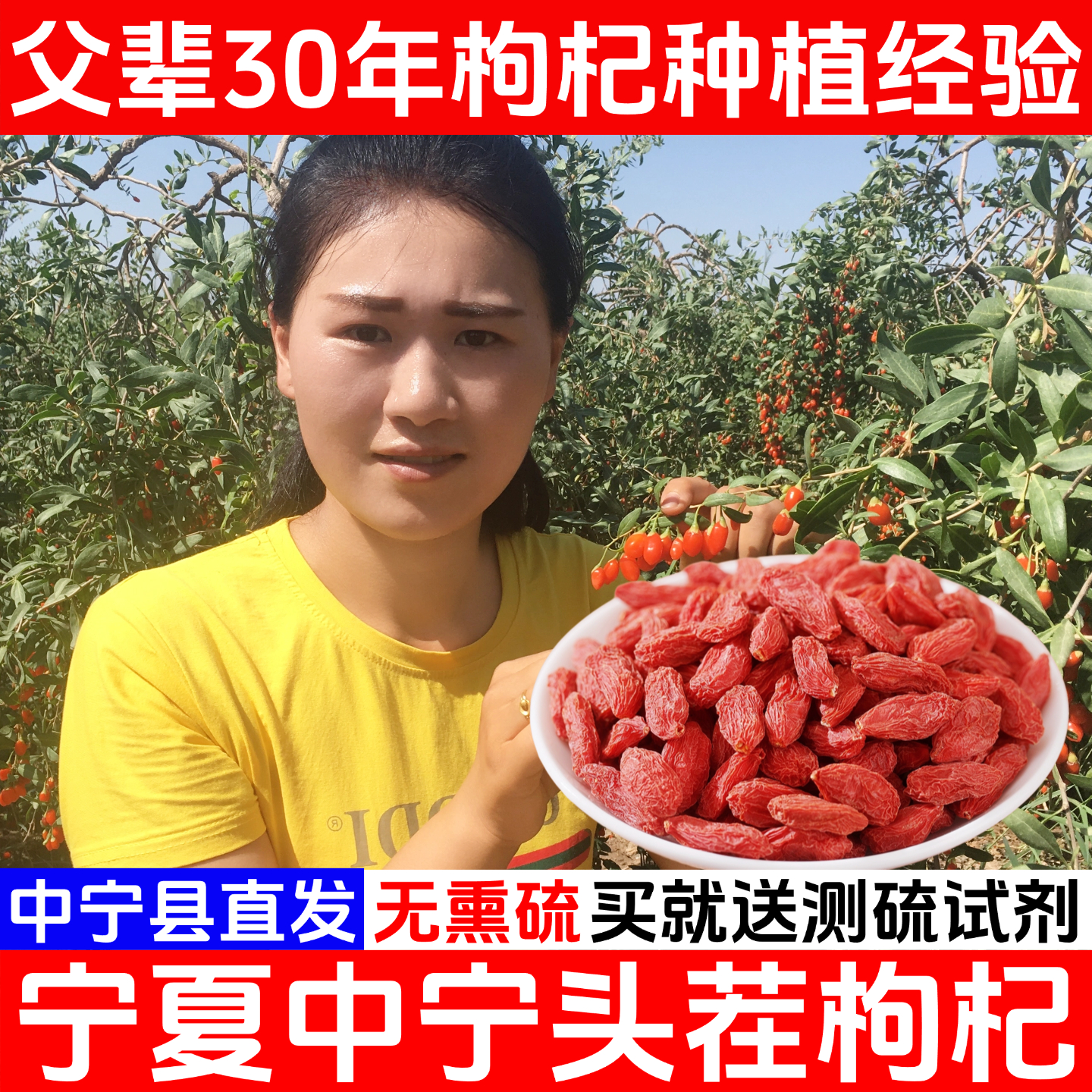 宁夏枸杞子头茬500g中宁特优级免洗正宗大粒红苟构男肾官方旗舰店