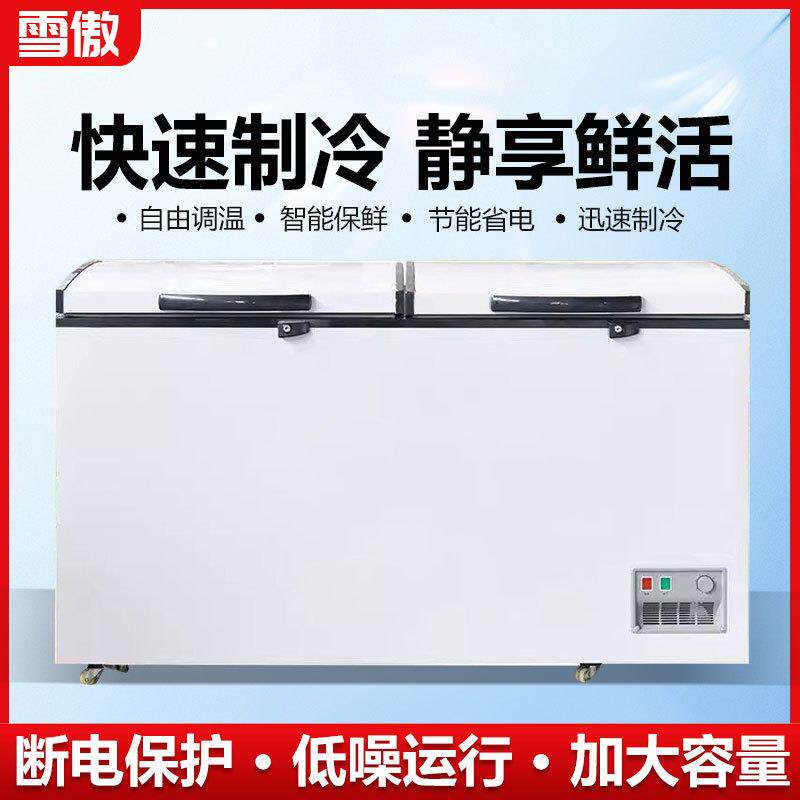 厂家直销大型冰柜商用保鲜展示冷柜冷冻冷藏卧式冰箱大容量
