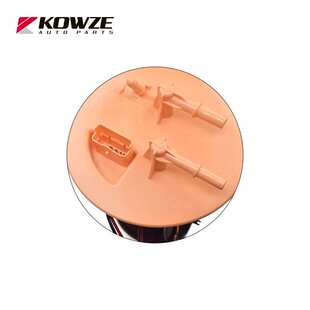 Ranger燃油泵总成 EC汽油泵适用福特皮卡Ford 现货供应AB39 9H307