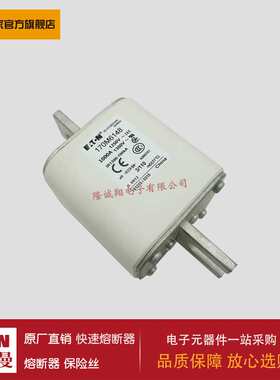 170M6148 6149 6150 6151 6016 6017 6018 6019 6020 6021熔断器
