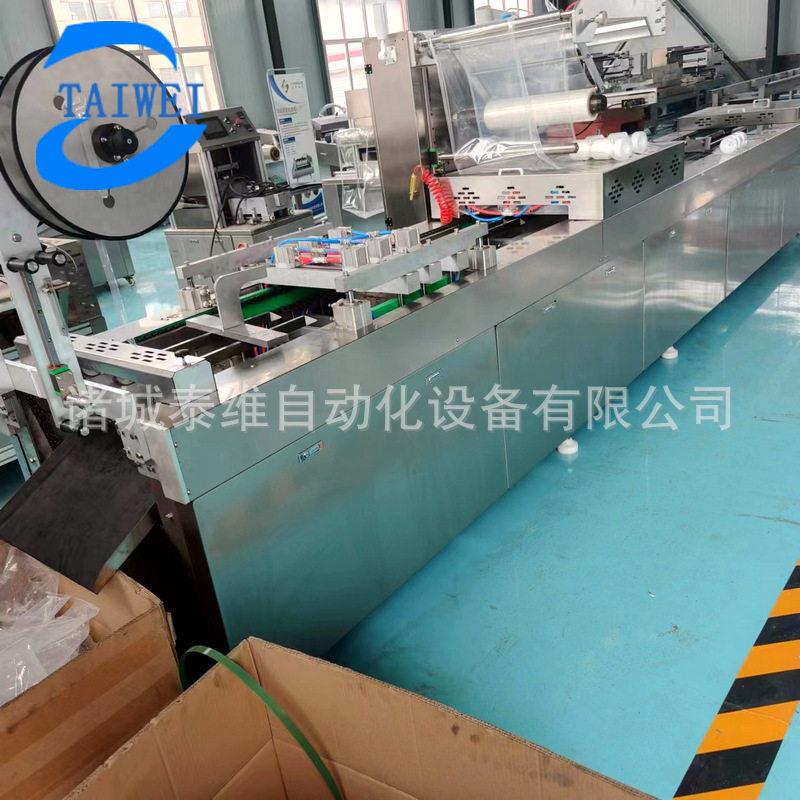 全自动连续式冻干草莓独立真空包装机武汉麻辣鸭头真空包装机