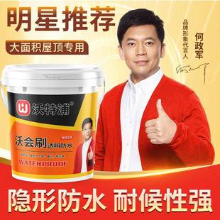 沃特屋whs浦墙卫生间免砸砖透明防水瓷砖补漏涂料顶外防胶水材料