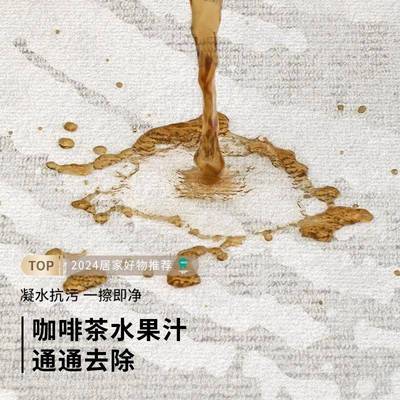 圆形地毯厅理高级感客卧室新款边免洗可擦免打房间沙发Sbsr2111床