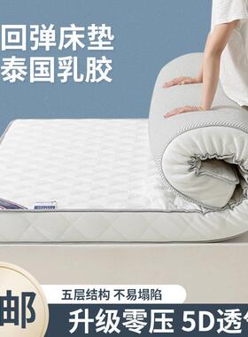 新加升级乳床床垫租房40785家用地铺睡垫学生胶厚榻榻米垫宿舍软