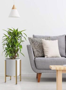 铁艺十字伸缩花盆架可调节绿小50985植物架室内大客厅阳台盆萝植