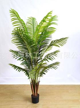 散尾凤型尾葵北欧大室内仿真植物人蕉葵橄ll002111榄树尤加利厂家