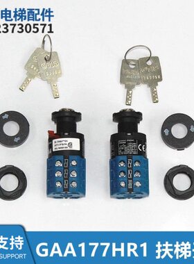 GAA177HR1全新自动扶梯锁GAB26220AM5开关锁D-7H87*01 AT17F874