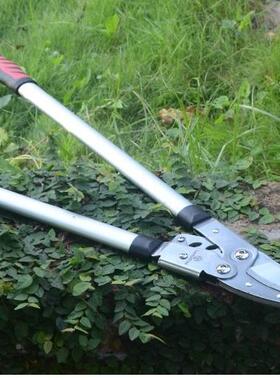 黄力师傅粗剪大剪果树修枝剪刀省力GH-151A1树艺枝枝剪园林园剪