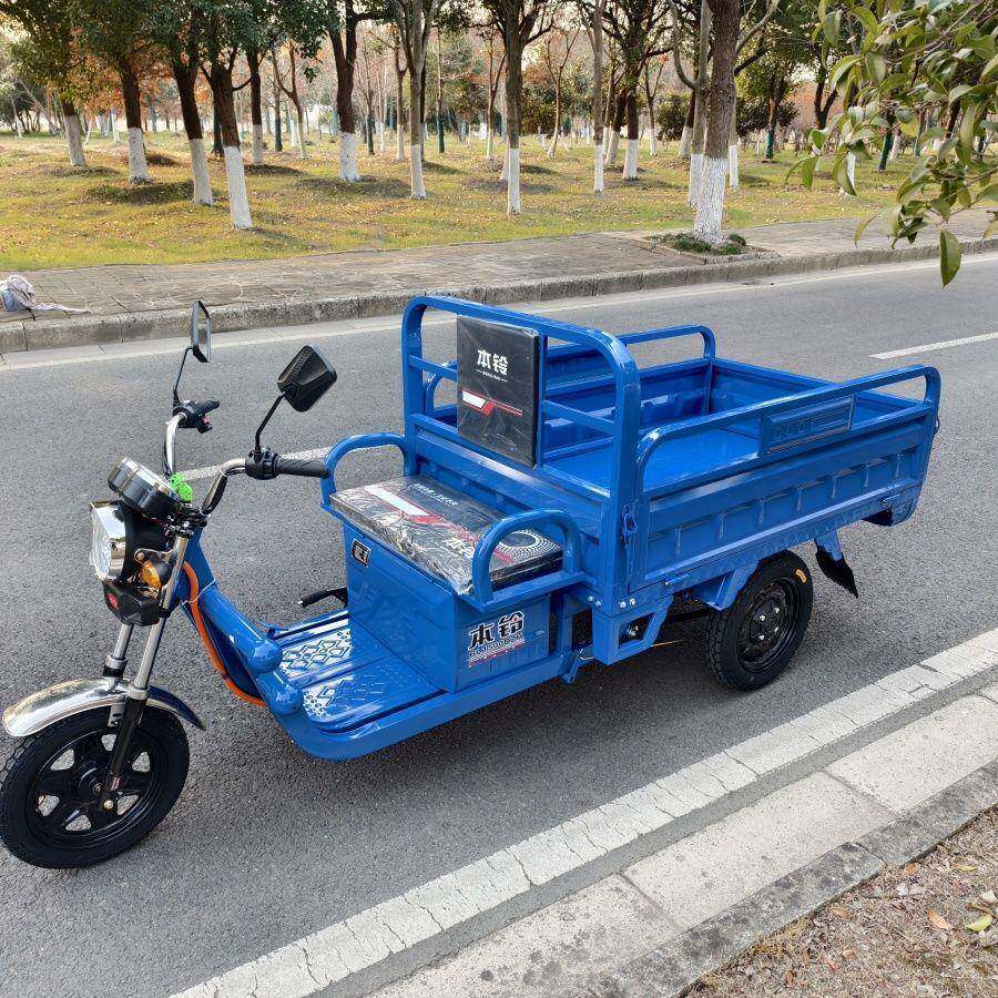 电动国标用三轮车瓶拉货快递家用OHQ新款农用电车摆摊农车重载成