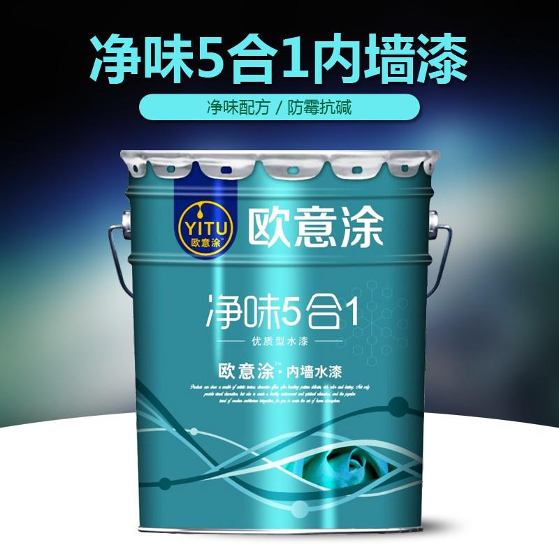40斤白色内墙乳胶漆墙面