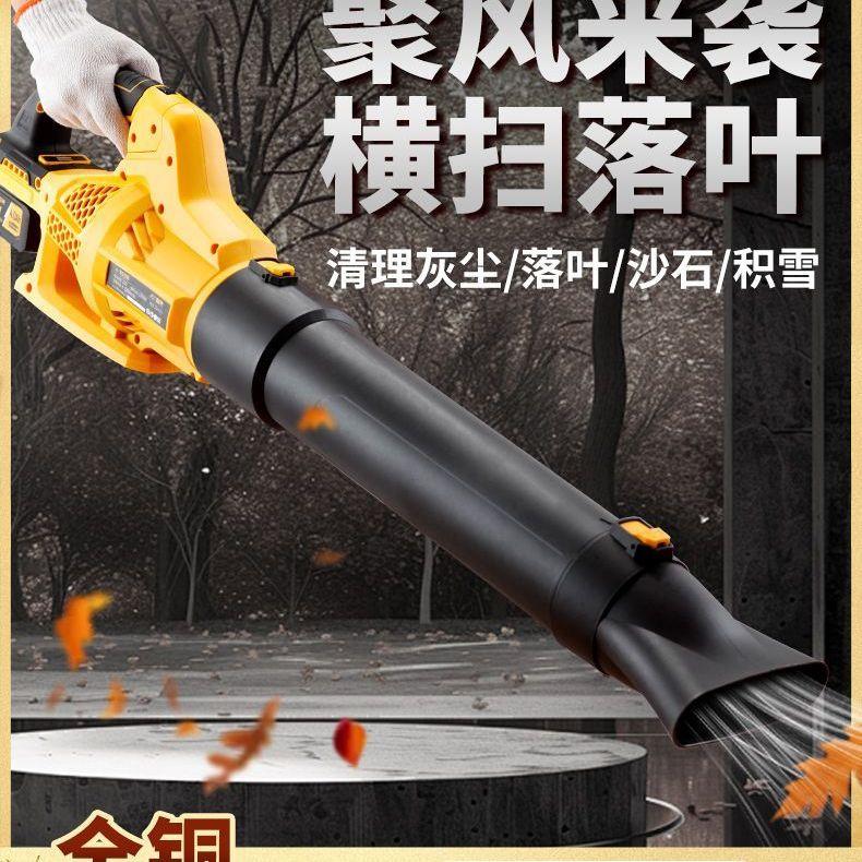 雷克锂电暴风机便携大功