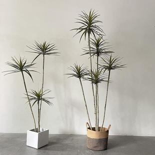 仿绿植WER真高级感千木大型龙血树热带年植物龙舌兰盆栽假剑麻马