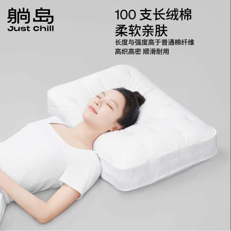 躺岛布里云枕头套 蓬松柔软回弹性好羽绒枕头芯 保护枕套