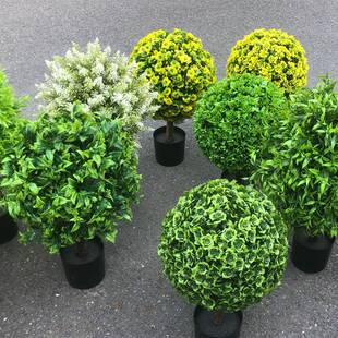 跨境热卖仿真塑料盆景发财果绿植装饰室内客厅摆件植物尤加利盆栽