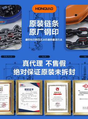 白色TOYO手拉葫芦1T/2T5T倒链手动三角葫芦东洋起重CA型用小家用