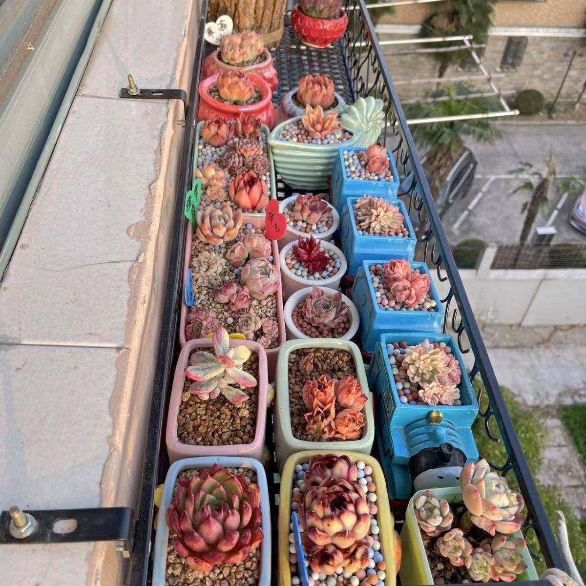 花架无品牌/置物花架阳台盆挂架悬架挂式铁栏艺杆挂式花子窗台多,基础建材,脚轮/万向轮,淘宝优惠券,粉丝福利购,淘宝优惠卷