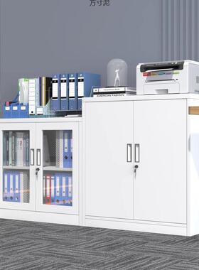 钢制矮柜衣铁皮储物柜带锁更工具档案柜阳台收纳柜办OWP公文柜江