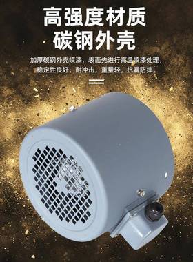 变频电机专用机通风机G-165160变频通风机变频调风速电用冷却专机