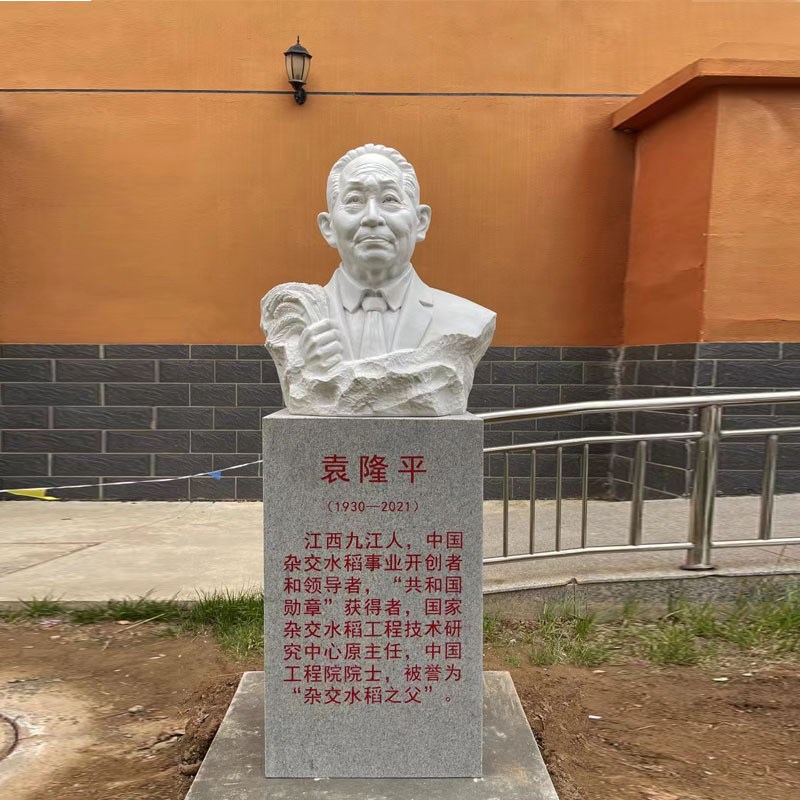 石雕名人半身像钱学森历史人物陶行知袁隆平校园名V人胸像雕塑厂