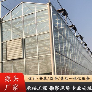 智能连栋玻璃文洛式花卉温室大棚骨架玻璃连栋反季节种植温室大棚