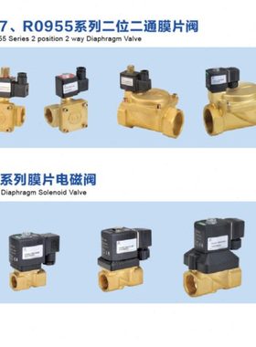 RYZDH膜片式电磁阀 R2231008B R2231010B R2231008K R2231015K