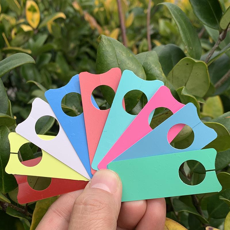 葡萄标签植物标签葡萄计号卡环套葡萄吊牌分色葡萄记号牌园艺