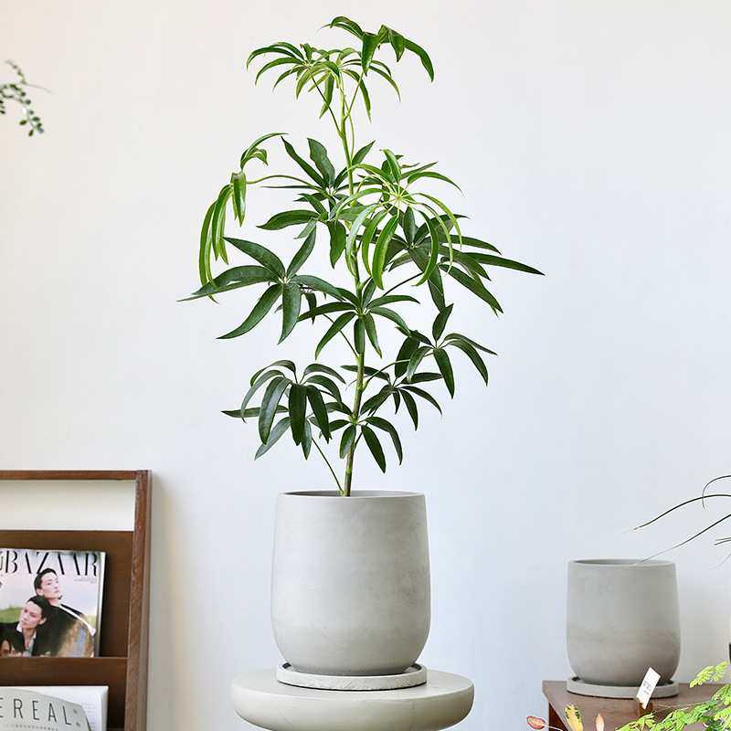 工业风现代家居室内办公室植物仿真绿植盆栽北欧装饰假花水泥花盆