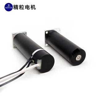 12V大功率无槽无刷马达 力矩大 厂家供应 22mm空心杯直流无刷电机