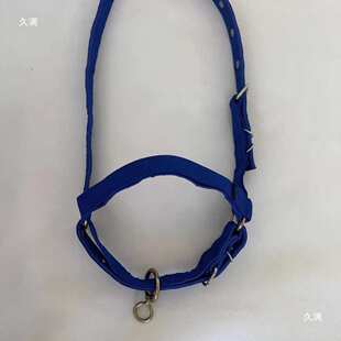 牛笼头秃头龙头大牛可调 新款板带牛笼头蓝色 加厚牛笼头全套小牛