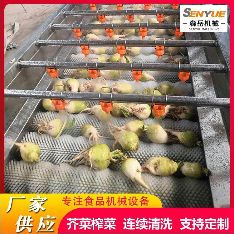 工厂用果蔬清洗机胡萝卜去泥毛刷清洗机红薯气泡毛辊清洗一体机
