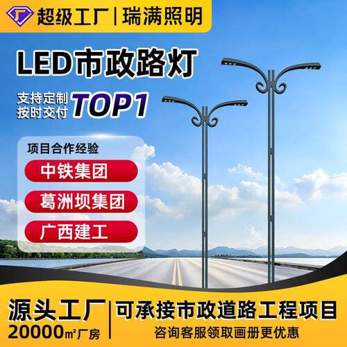 LED双头路灯杆灯户外8米10米12米市政工程道路照明源头路灯厂家