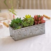 日杂英文收纳盒铁皮桶花盆杂货种球花桶阳台庭院杂货花园装 饰摆件