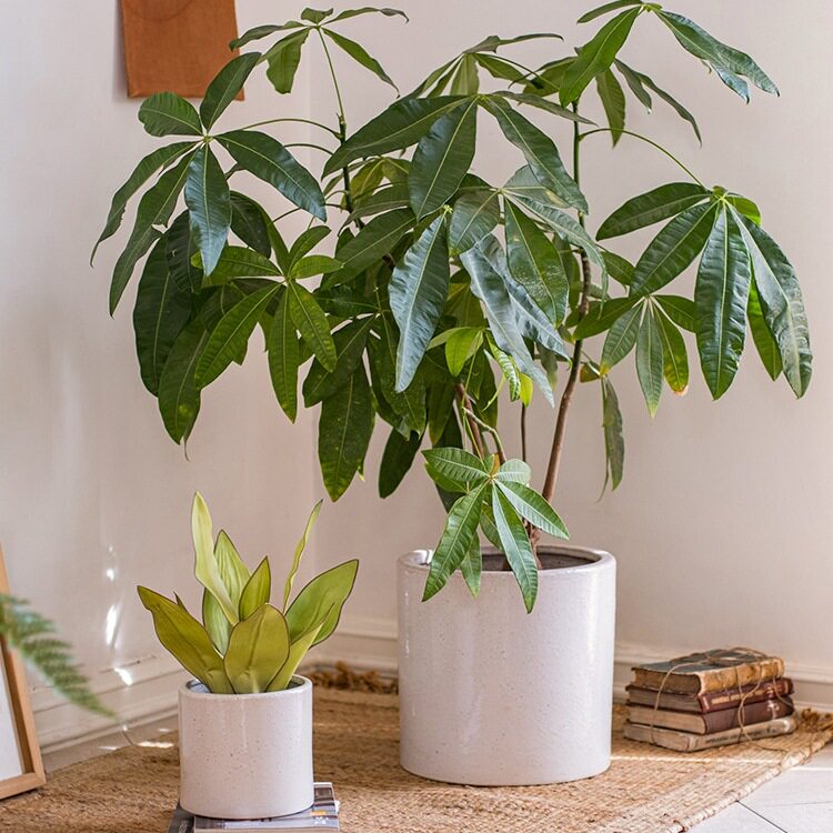陶瓷花盆大号现代简约白色圆形客厅绿植盆器装饰摆件落地花瓶