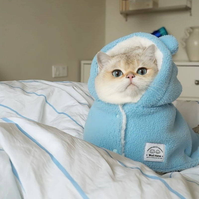 猫咪毛绒睡衣斗篷衣服浴袍秋冬季加厚保暖睡觉小垫棉服抗风遛弯服