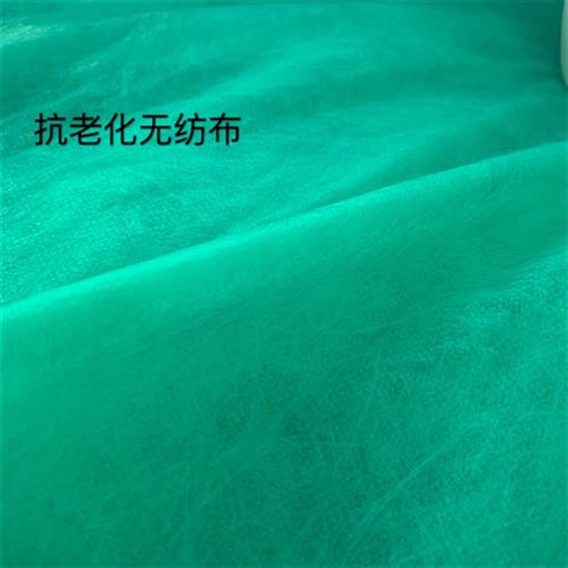 绿化无纺布绿色园林工地防u尘盖土布护坡边坡草坪植草籽无纺布整