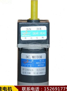 DC12V/24V 20W直流电机 减速电机 06SGN/06SP 2GN齿轮箱