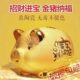 金猪存钱罐2023新款 只进不出储蓄罐男女儿童网红创意陶瓷小猪礼物