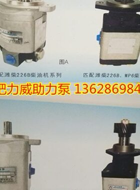 洛阳路通、洛阳压路机 转向助力泵 QC20/16-D14 合肥力威汽车油泵