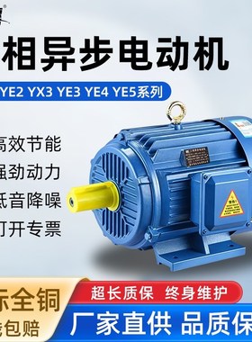 YE3-100L1-4 2.2KWY112M-4/YE2-132HS1-2 5.5kw三相异步马达380V