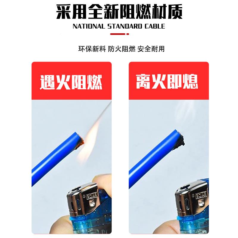 广州电线南牌电线WDZB2标-BYJ.5平10国铜芯阻方燃WDZC低烟无卤4/6