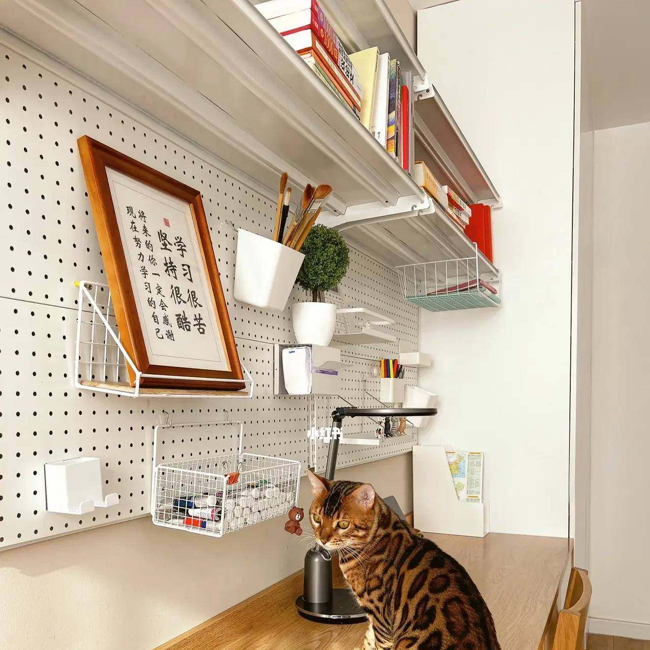 ft上墙洞洞书板架收纳桌上书柜打孔KAI安装展示收一纳学生书桌置,饰品/流行首饰/时尚饰品新,其他DIY饰品配件,淘宝优惠券,粉丝福利购,淘宝优惠卷