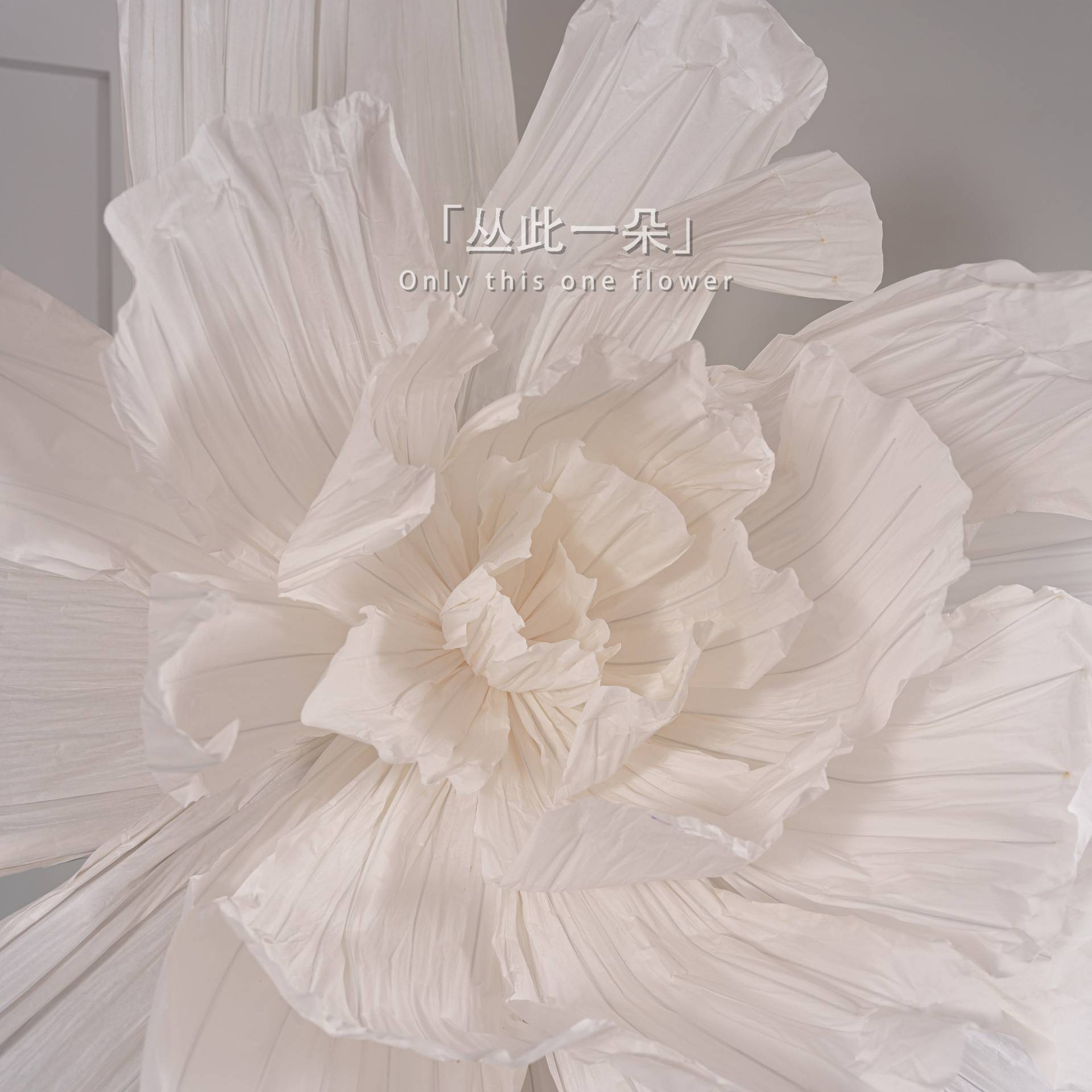 白色巨型大纸花美塑花大型婚礼背景花装饰手工褶皱纸花橱窗美陈